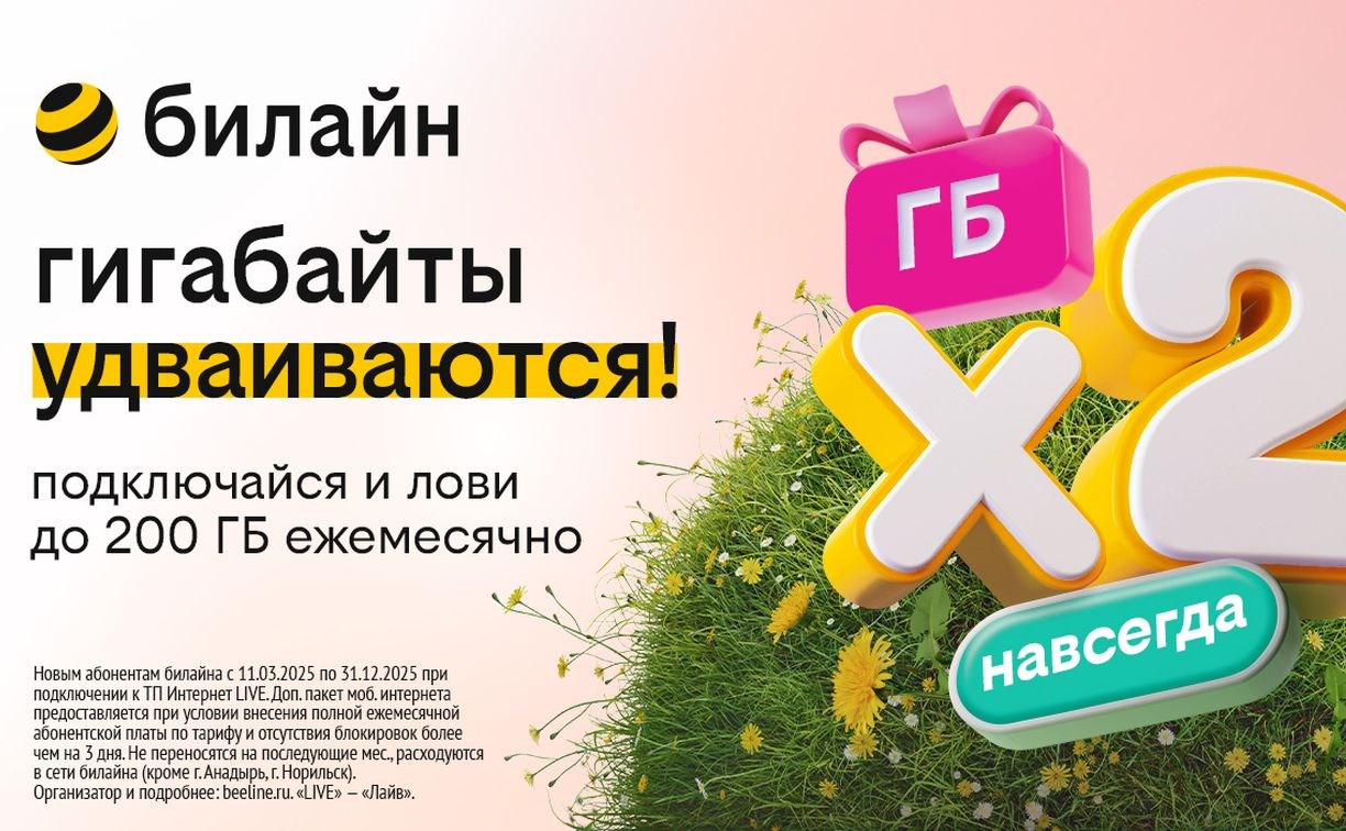 Бесконечное удвоение гигабайтов: билайн запустил акцию для организации интернета в загородном доме