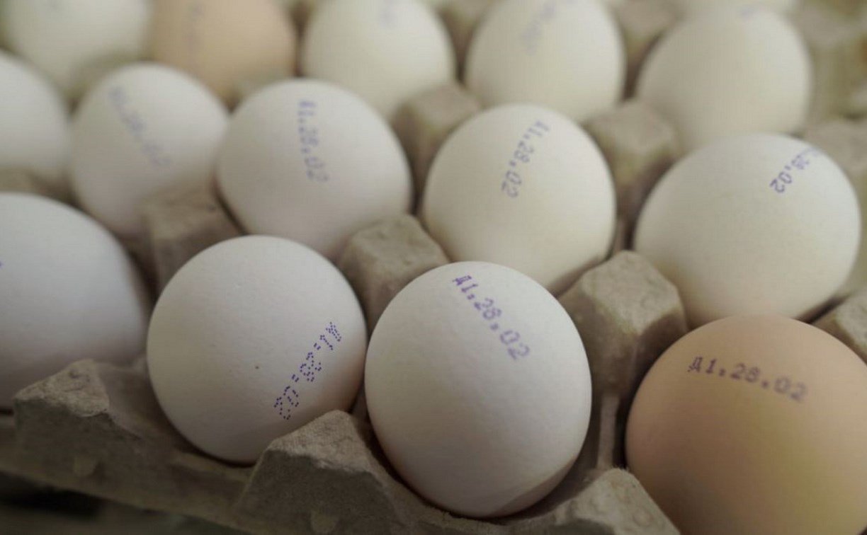 Сахалинская птицефабрика увеличивает производство диетического яйца в преддверии Пасхи
