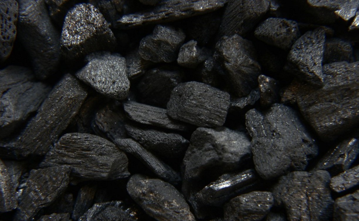 Житель Анивы развел южносахалинку, пообещав ей угля 