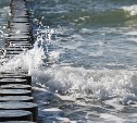 На Сахалине определился пользователь рыбоводного участка в заливе Анива