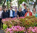 Тысячу однолетних цветов высадили активисты ТОСа в Южно-Сахалинске