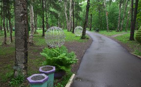 Городской парк Южно-Сахалинска взят под круглосуточную охрану