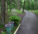 Городской парк Южно-Сахалинска взят под круглосуточную охрану