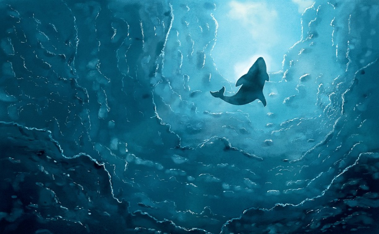 «Ночь китов» соберет сахалинских любителей морских обитателей
