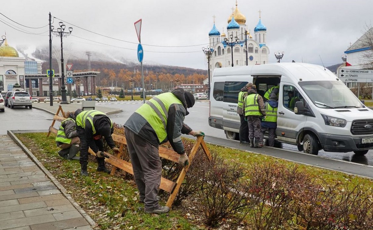 Южно-Сахалинск готовится к весне: кустарники уже укрыли и высадили 80 000 луковиц тюльпанов 