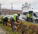 Южно-Сахалинск готовится к весне: кустарники уже укрыли и высадили 80 000 луковиц тюльпанов 