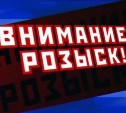 Полиция Южно-Сахалинска разыскивает нарушителя ПДД