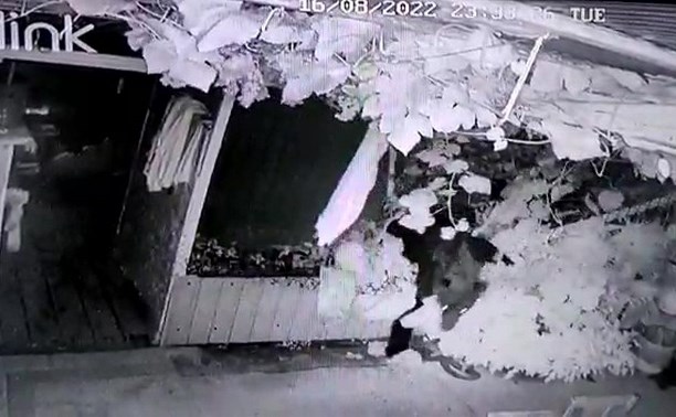 Медведь на Курилах за три секунды повалил забор и ворвался на дачу