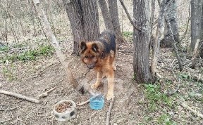 Общество