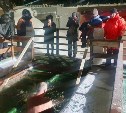 Перечень мест для крещенских купаний на Сахалине и Курилах в 2025 году