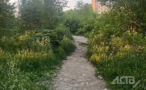 Общество