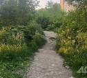 Автобусы и маршруты: как в Южно-Сахалинске обезопасят "Уюн", где неизвестный приставал к девочке