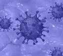 Тридцатый случай заражения коронавирусом зафиксировали на Сахалине