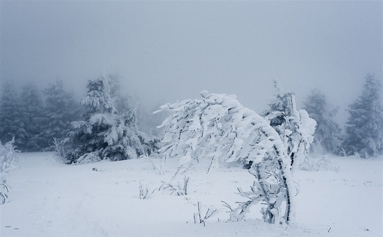 Сильный ветер и снег 16 декабря обрушатся на два района Сахалина