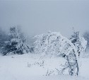 Сильный ветер и снег 16 декабря обрушатся на два района Сахалина