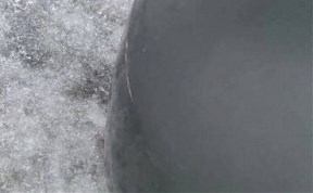 Происшествия