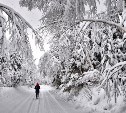 Пасмурно на юге, снегопад на севере: прогноз погоды в Сахалинской области на 4 февраля