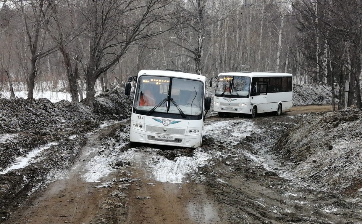 Очередной рейсовый автобус увяз в грязи в Елочках