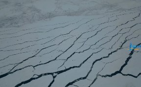 Общество