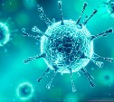 Ещё 58 человек заболели коронавирусом в Сахалинской области