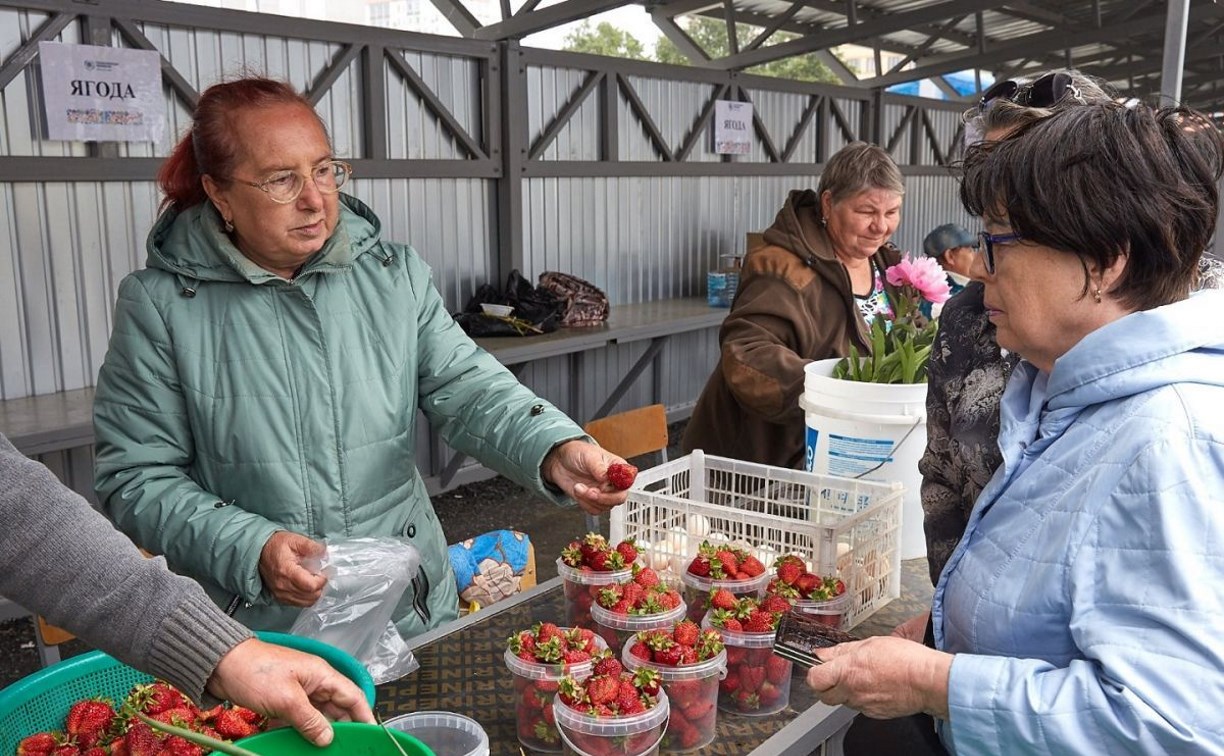 Южносахалинским дачникам напоминают, где можно продать излишки урожая
