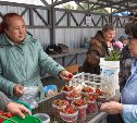 Южносахалинским дачникам напоминают, где можно продать излишки урожая