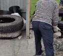 В Южно-Сахалинске ищут нарушителей, забросавших мусорную площадку автомобильными шинами