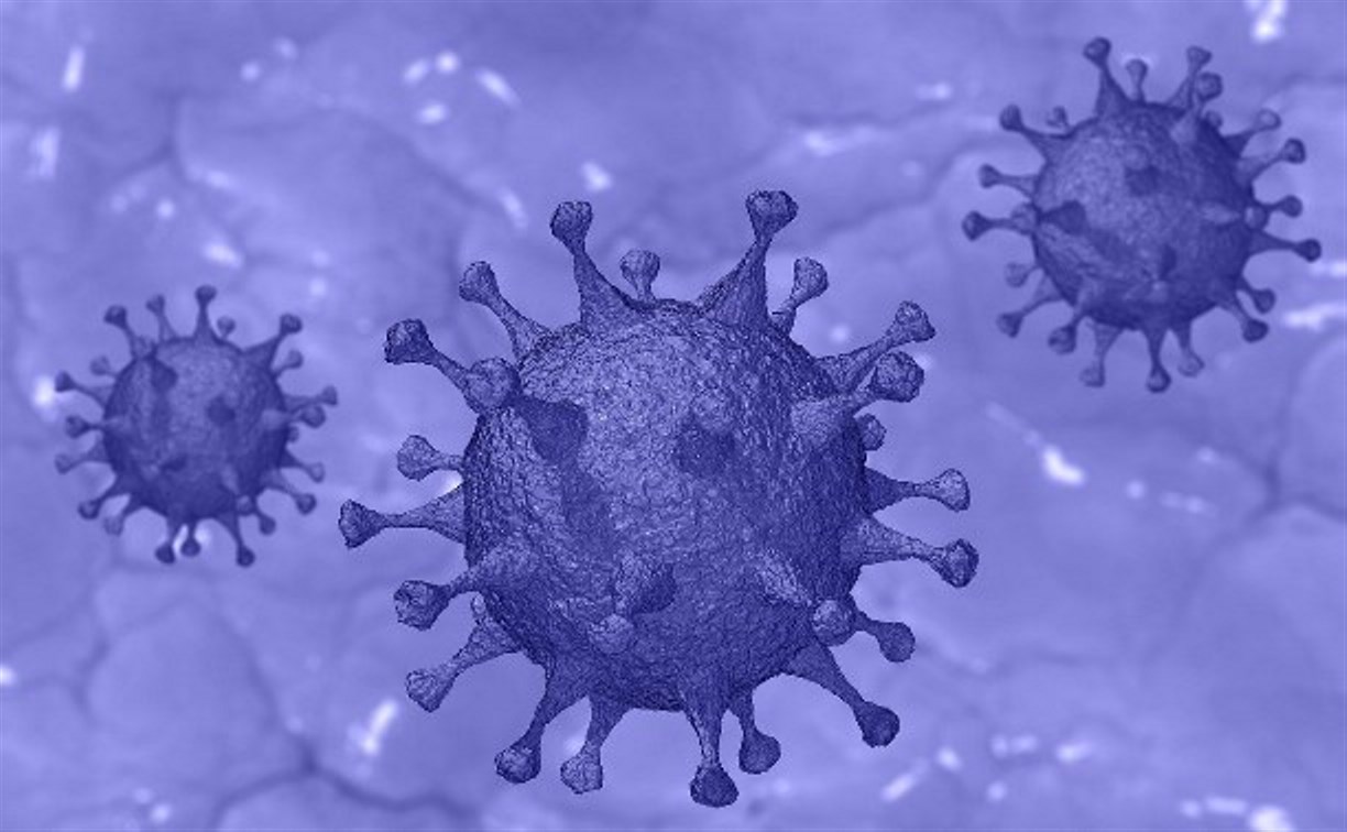 Ученые выяснили, как именно коронавирус проникает в мозг