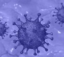 Ученые выяснили, как именно коронавирус проникает в мозг