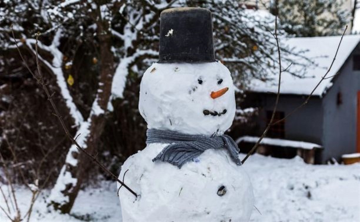 Astv.ru приглашает все сахалинские садики поучаствовать в конкурсе снеговиков