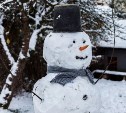 Astv.ru приглашает все сахалинские садики поучаствовать в конкурсе снеговиков