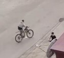Велосипедист врезался в два автомобиля и скрылся с места ДТП в Луговом