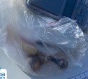 В Южно-Сахалинске экипаж ДПС остановил водителя с наркотиками