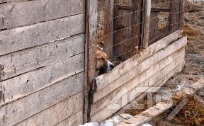 Происшествия
