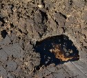 Незаконное захоронение нефтесодержащих отходов обнаружено в Охинском районе