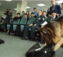 Сахалинские таможенники рассказали детям, как бороться с преступностью
