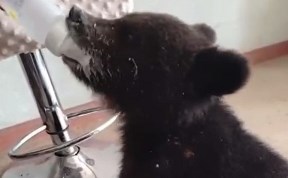 Общество