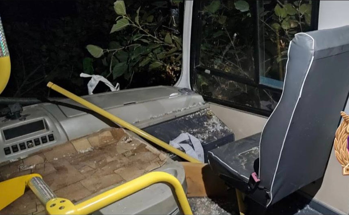 Автобус в Южно-Курильском районе слетел в кювет: пострадали 5 человек