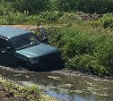 Toyota Land Cruiser  вылетел в болото в районе Раздольного