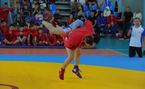 Спорт