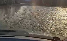 Общество