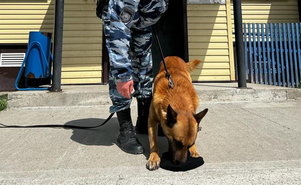 Собака Грэм помогла задержать нелегала, который украл сумку у сахалинки