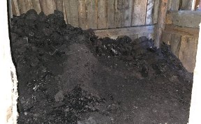 Происшествия