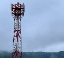 МТС обеспечила цифровыми сервисами "лососевый роддом" на Сахалине