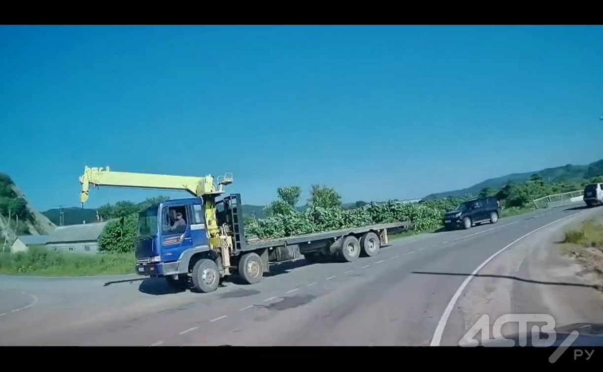 Момент серьёзного ДТП в Невельском районе попал на видео