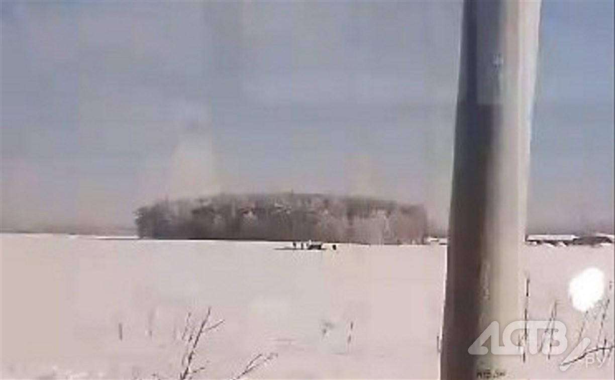 Сахалинцы переживают за табун лошадей в поле в пригороде Южно-Сахалинска