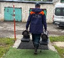 Более 30 домов подтопило в Томари: как город приходит в себя после мощного циклона