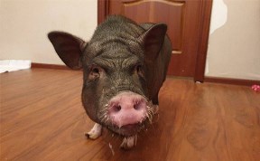 Материалы