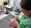 В Невельске осваивают новое оборудование для зубопротезирования