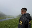 У сахалинских браконьеров за неделю изъяли 76 килограммов рыбы